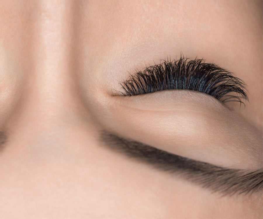 Classic Lash Course RJL Education